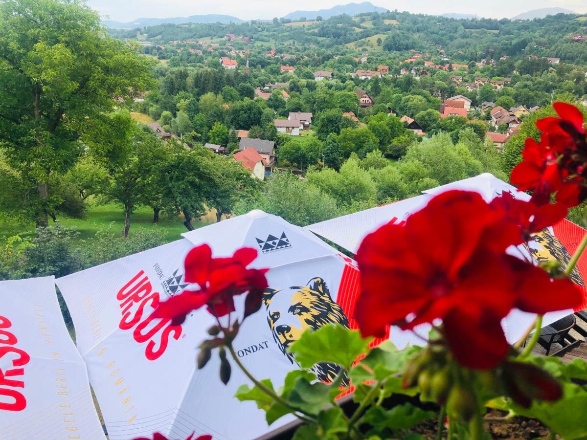 Pensiunea Ursuleț Bran Bran  Exterior foto