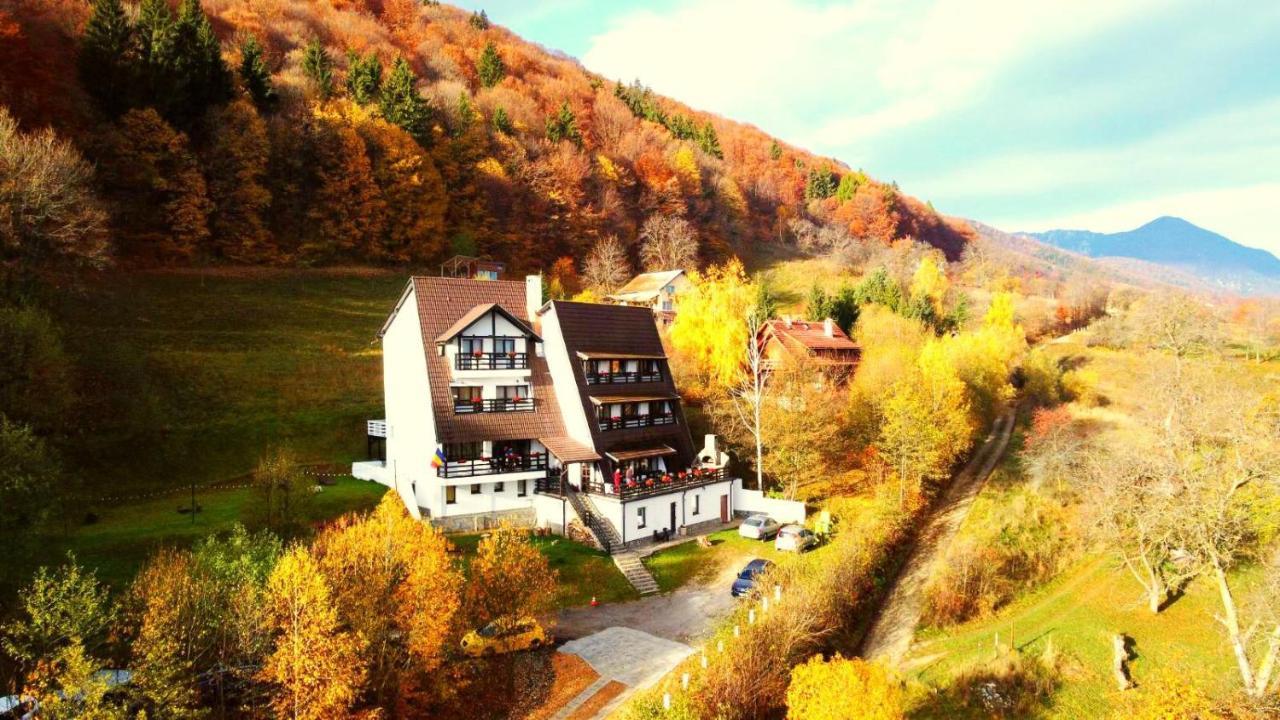Pensiunea Ursuleț Bran Bran  Exterior foto