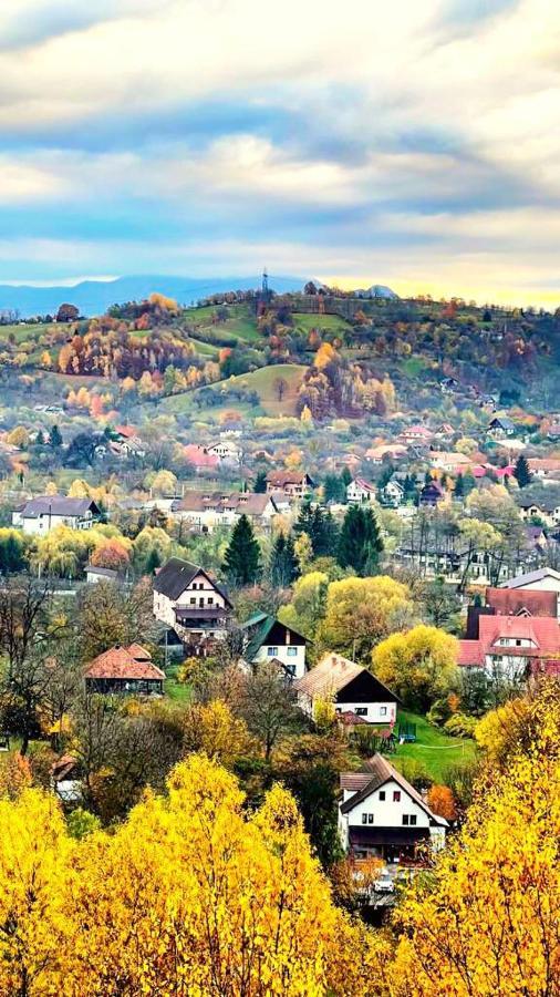 Pensiunea Ursuleț Bran Bran  Exterior foto