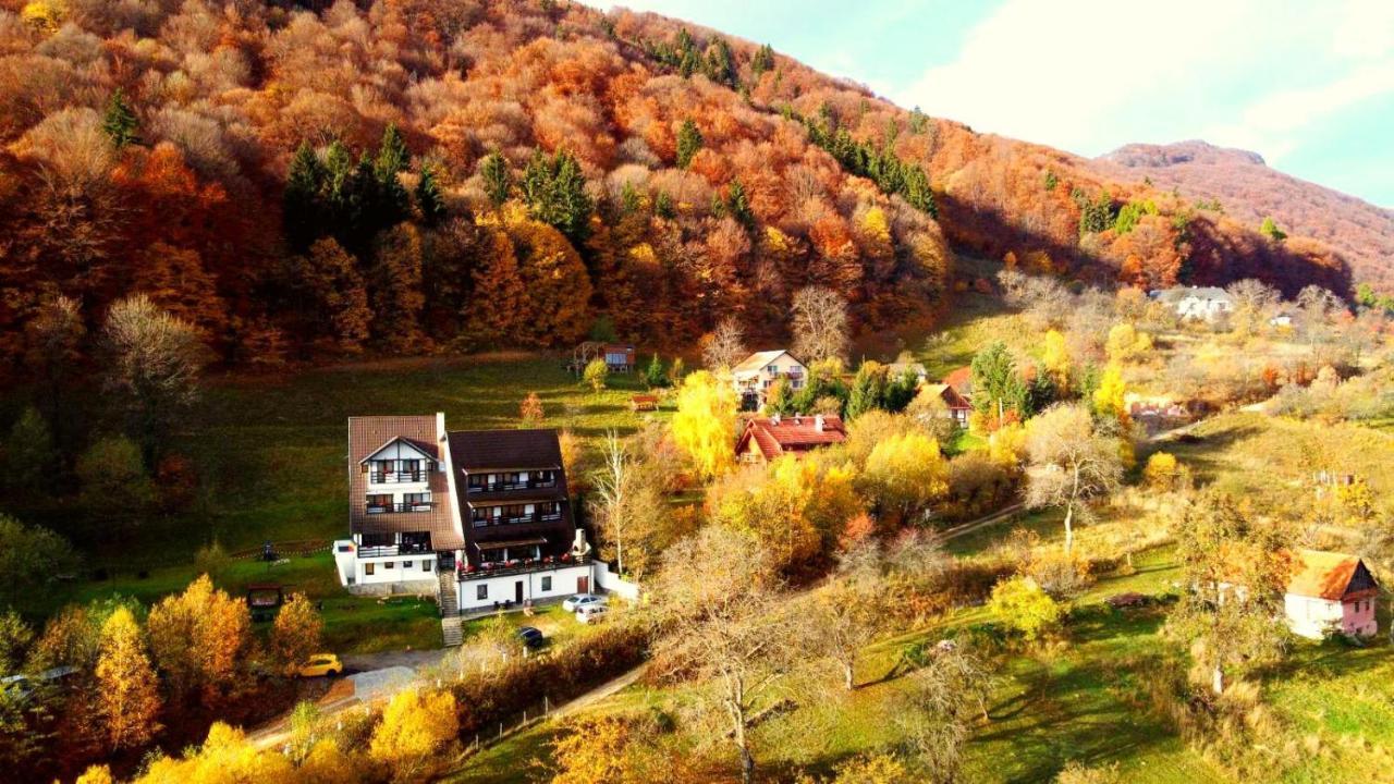 Pensiunea Ursuleț Bran Bran  Exterior foto