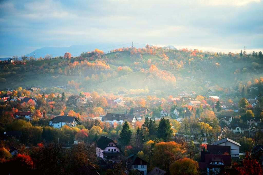 Pensiunea Ursuleț Bran Bran  Exterior foto