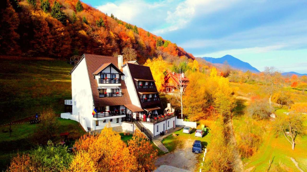 Pensiunea Ursuleț Bran Bran  Exterior foto