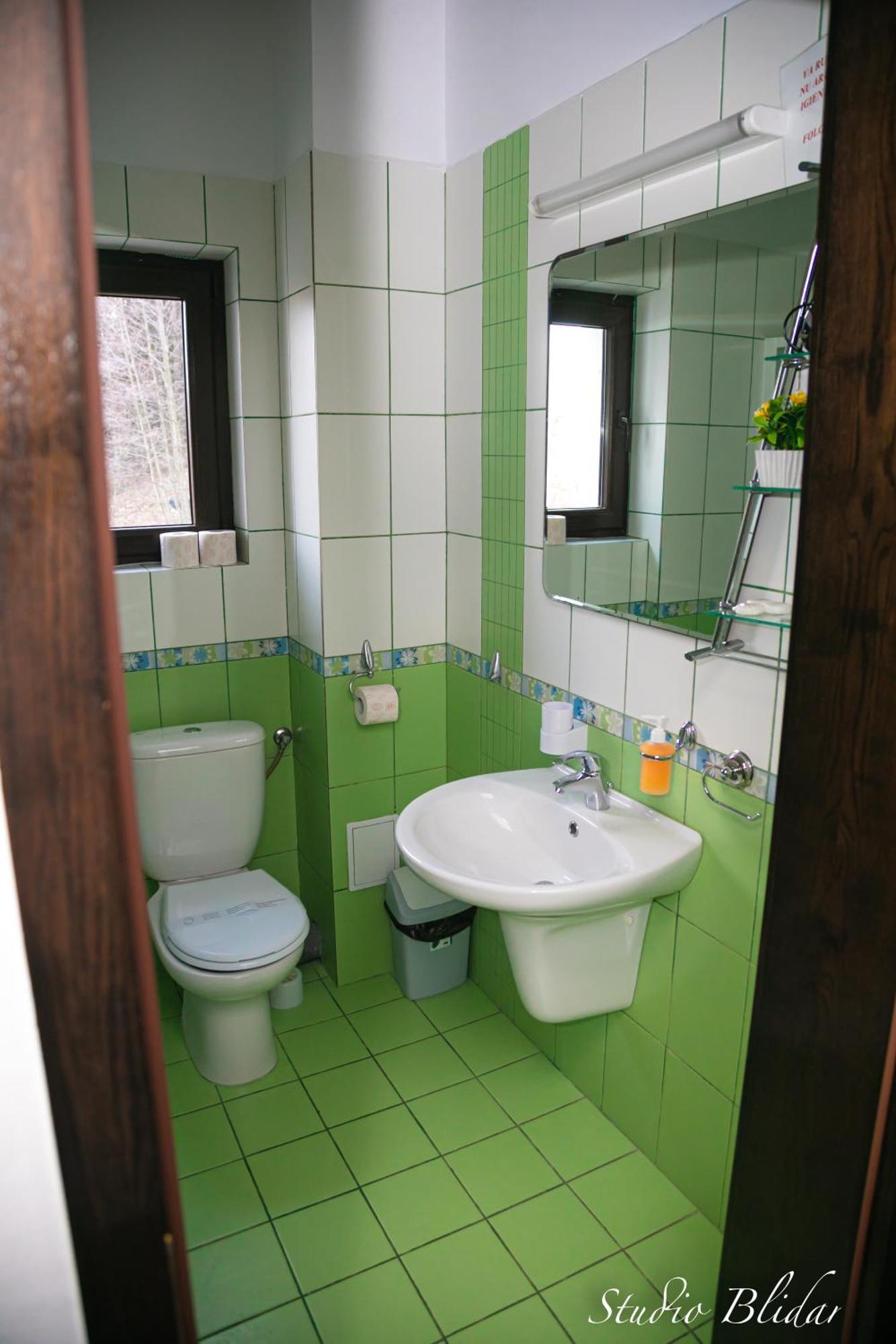 Pensiunea Ursuleț Bran Bran  Exterior foto